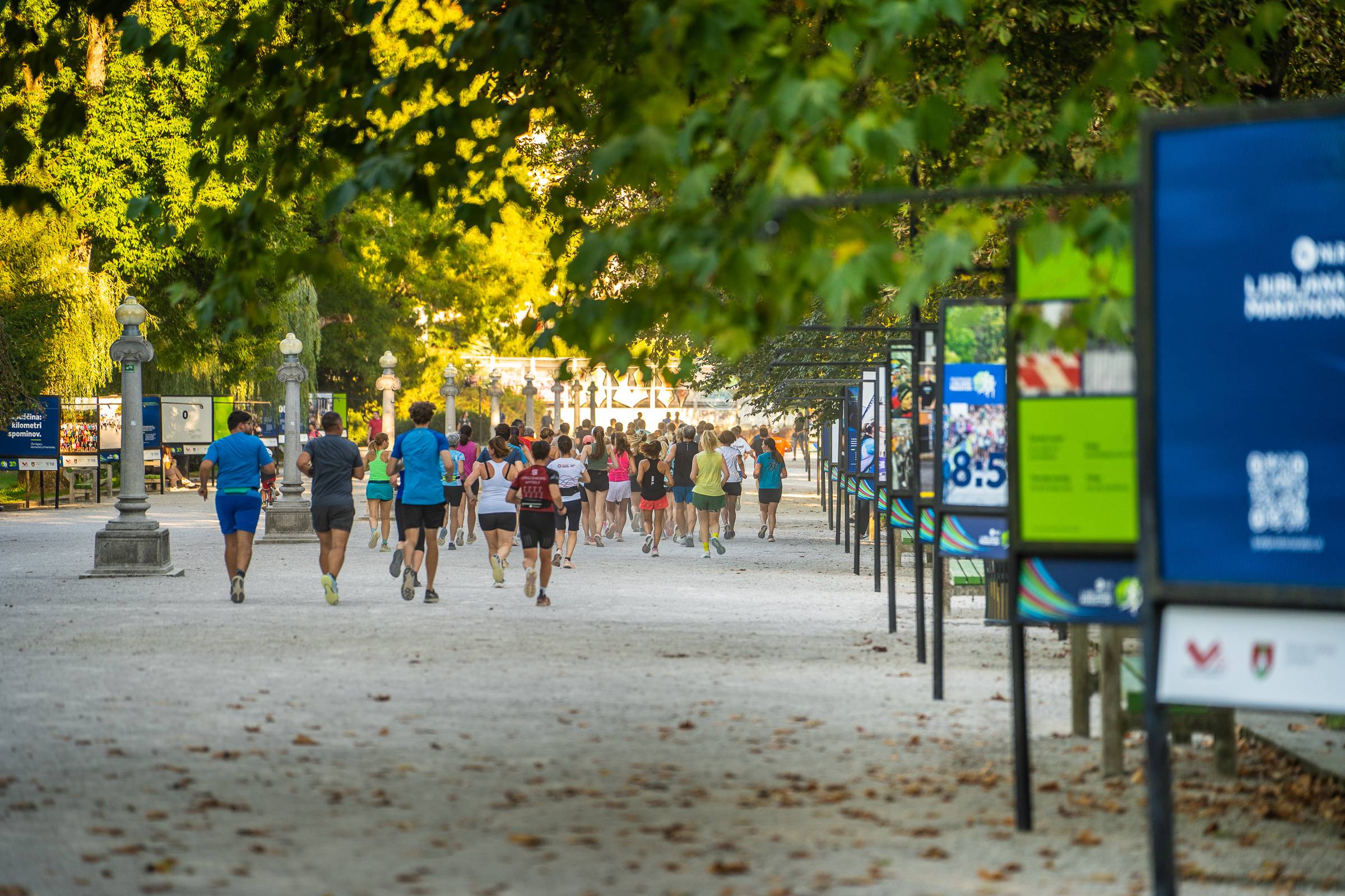 lj-maraton_razstava_jakopicev-drevored_03-09-2026-_foto_damjan-koncar_-00184