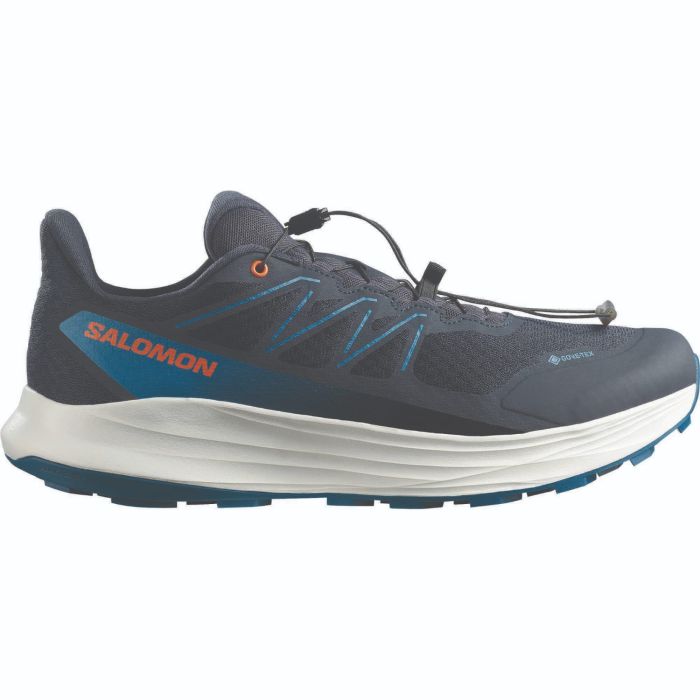 Salomon ALPHARIDE 2 GTX, moški trail tekaški copati, siva