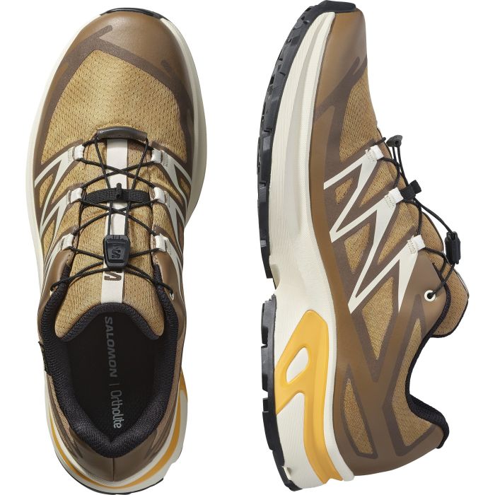 Salomon XT-EVR GTX, moški športni copati, rjava