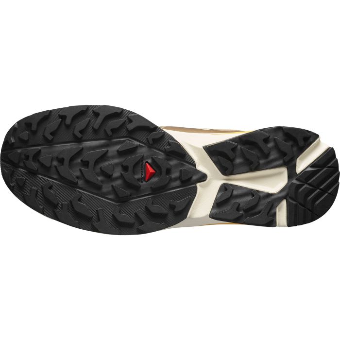 Salomon XT-EVR GTX, moški športni copati, rjava