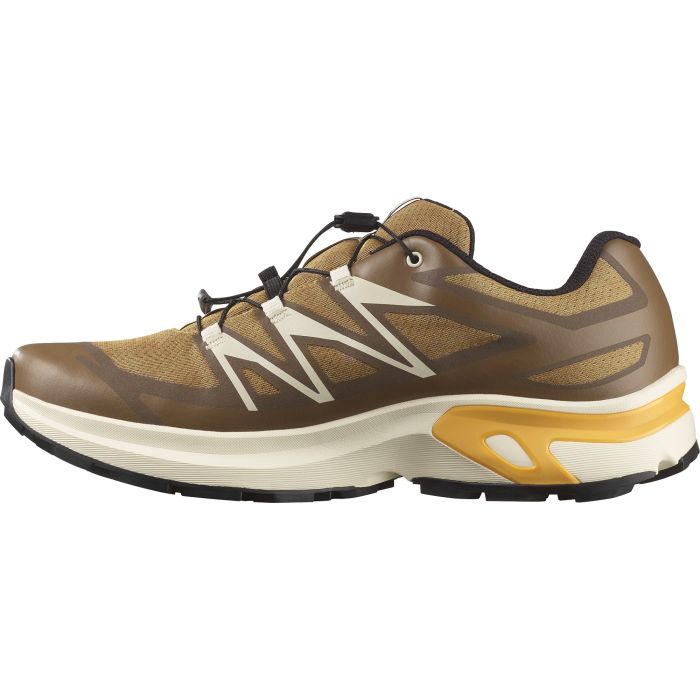 Salomon XT-EVR GTX, moški športni copati, rjava