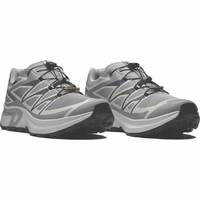 Salomon XT-EVR GTX, moški športni copati, siva