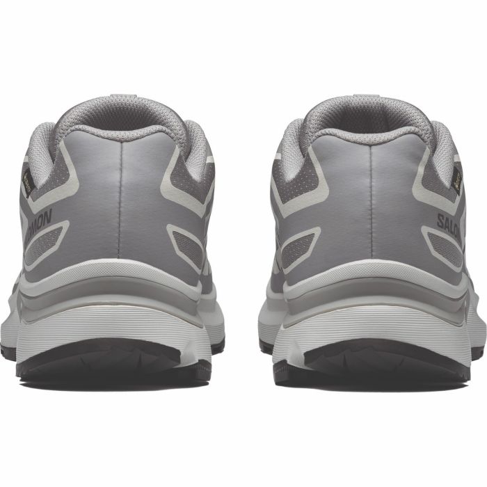 Salomon XT-EVR GTX, moški športni copati, siva