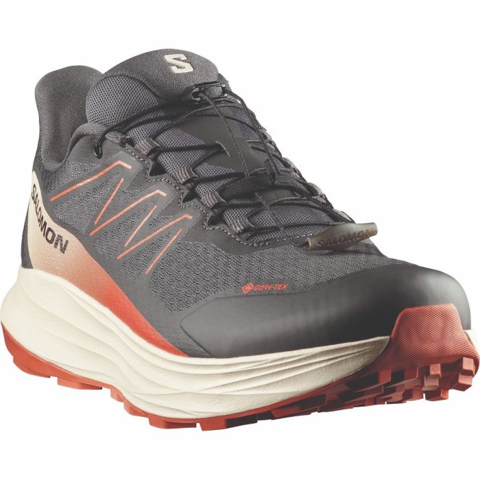 Salomon ALPHARIDE 2 GTX, moški trail tekaški copati, siva