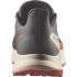 Salomon ALPHARIDE 2 GTX, moški trail tekaški copati, siva