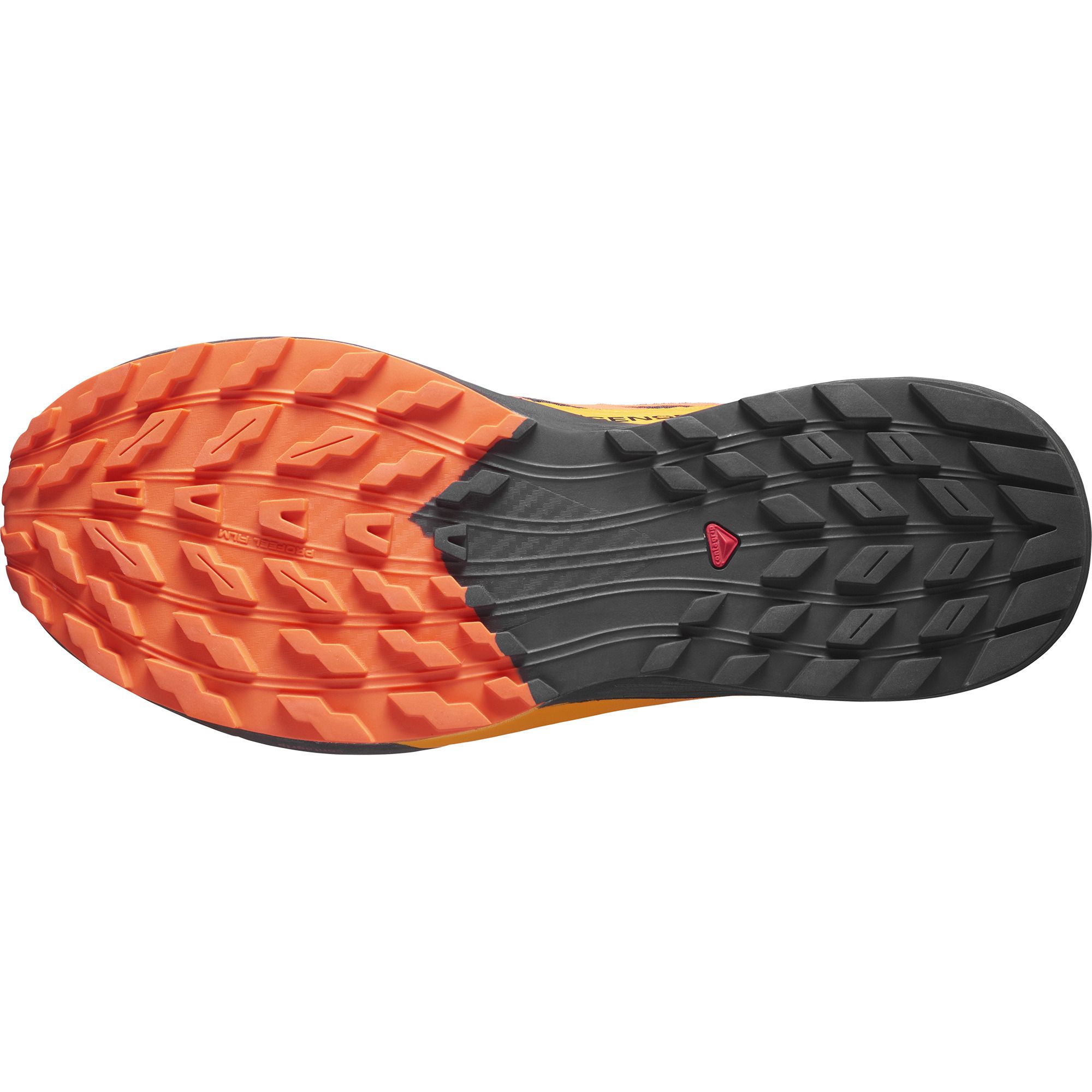Salomon sense hot sale ride intersport