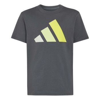 Adidas J BL TEE 160, maja o.kr, siva