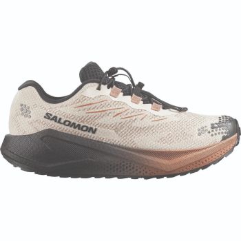 Salomon AERO BLAZE 4 GRVL GTX, moški gravel tekaški copati, bež