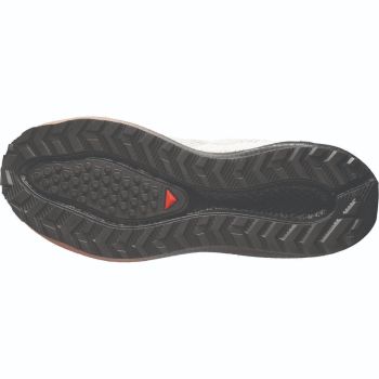Salomon AERO BLAZE 4 GRVL GTX, moški gravel tekaški copati, bež