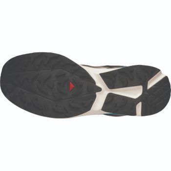 Salomon XT-EVR GTX, moški športni copati, bež