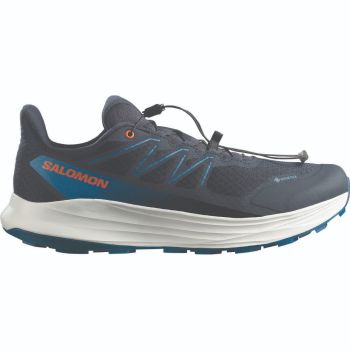 Salomon ALPHARIDE 2 GTX, moški trail tekaški copati, siva