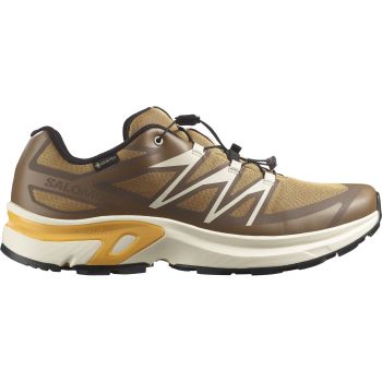 Salomon XT-EVR GTX, moški športni copati, rjava
