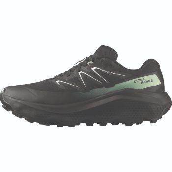 Salomon ULTRA FLOW 2 GTX, moški trail tekaški copati, siva