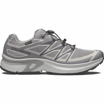 Salomon XT-EVR GTX, moški športni copati, siva