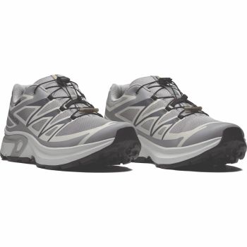Salomon XT-EVR GTX, moški športni copati, siva