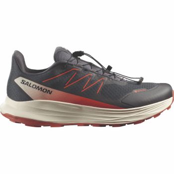 Salomon ALPHARIDE 2 GTX, moški trail tekaški copati, siva