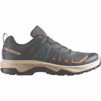 Salomon EXTEND 2 GTX, pohodni čevlji, siva