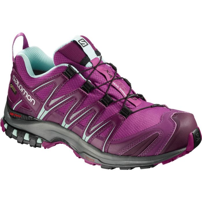 salomon xa pro 3d gtx intersport