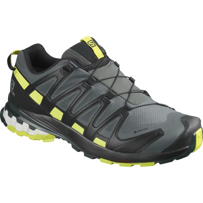 salomon xa pro 3d gtx intersport