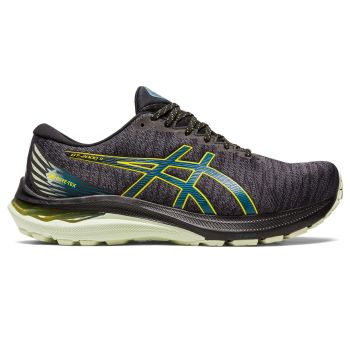 Asics GT-2000 11 GTX, moški tekaški copati, črna