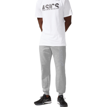 Asics BIG ASICS LOGO SWEAT PANT, moške hlače, siva
