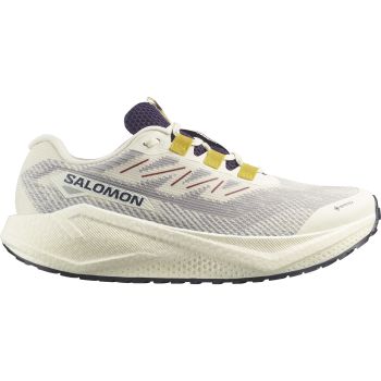 Salomon AERO BLAZE 3 GRVL GTX, moški tekaški copati, bež