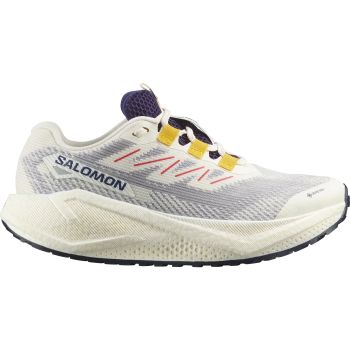 Salomon AERO BLAZE 3 GRVL GTX W, ženski tekaški copati, bež