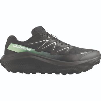 Salomon ULTRA FLOW 2 GTX, moški trail tekaški copati, siva