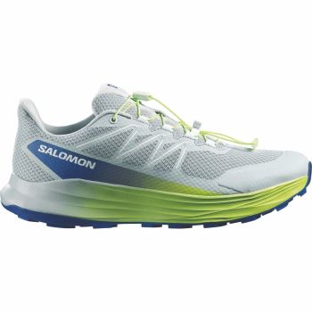 Salomon ALPHARIDE 2, moški trail tekaški copati, siva